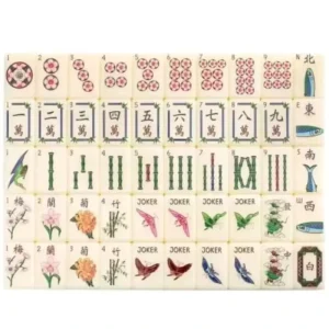 Oriental Flower Bird Butterfly Acrylic Mahjong Set 160 Pieces with Joker Tiles for Game Gift Box Durable Engraved Design
