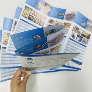 Original LOGO, Business Cards, Product Brochures, Flyers, Leaflets, Display Boards, Store Detail Pages & Official Website Design