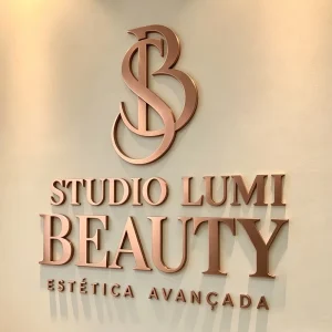 Outdoor Storefront LED Sign 3D Channel Letters Stainless Steel Illuminated Logo Sign Business Building Signage
