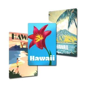 Popular Design Hawaii Style Metal Wall Print Home Club Exhibition Wall Art Decor Metal Sign Colorful Nature Touch Tin Poster