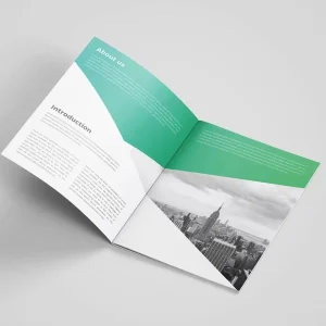 Premium Custom Folded Leaflet Brochure Art Paper and Cardboard with Offset Printing Varnished Surface