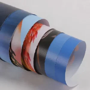Printable Waterproof Matte Polypropylene (PP) Synthetic Paper Roll Poster Material