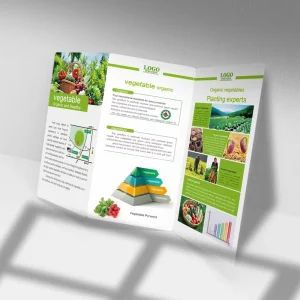 Printing Manufacturer, Custom Full Color Flyers, Booklets, Brochures