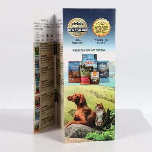 Product Middle Folding Leaflet Printing Bulk Printing Exhibition Folder/Flyer/Brochure/Booklet Printing Services