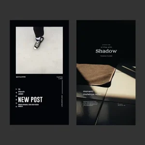 Professional Poster Design Services Meticulously Crafting One of a Kind Posters to Captivate Your Audience Based on Requirements