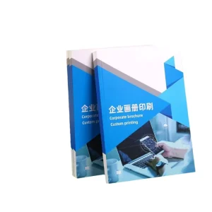 Professional Printing Services From Flyers to Full Product Catalogs Fast Sample & Mass Production Printing