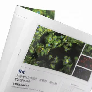 Promotion Flyer/Leaflet/Catalogue/Booklet Low Priced Offset Printed Cardboard Brochure Durable Paper Material Artificial Style