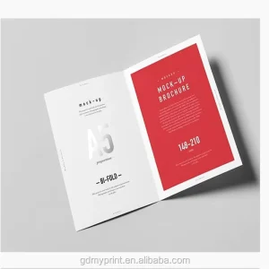 Promotional Catalogs Brochure Leaflet A4 A5 Flyer Printing Brochure