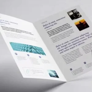 Provide One Stop Customized Design Services Including Instruction Manuals Corporate Brochures Etc Professional Design Services