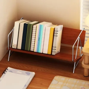 Rust-Proof Stainless Steel Vertical Book Storage Rack Space-Saving Magazine Record Display Organizer Home Decor Book Collection