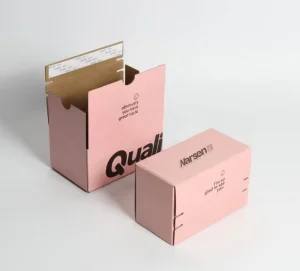 Self Sealing Zipper Mailer Folders Recyclable Custom Logo Packaging for Face Cream Loose Powder