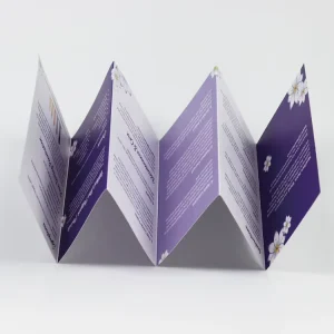 Source Factory Customized Small Folding Product Instruction Brochure