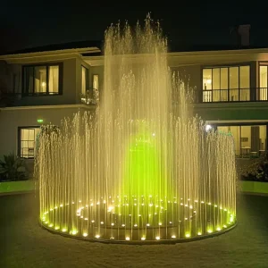 Stainless Steel Color LED Musical Dancing Water Fountain Outdoor Feature for Modern Garden