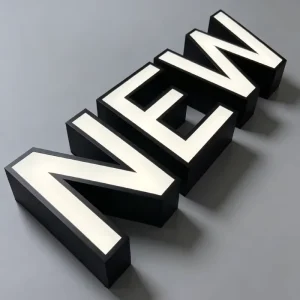 Stainless Steel Front Lit Letter Sign LED Illuminated Light up Logo Custom Storefront Mall Office Signage