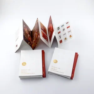 Top Quality Paper Small Quantity Instruction Manual Printing Promotional Folded Flyer Leaflet Brochure Pamphlet Printing