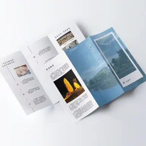 Trifold Leaflet Flyer