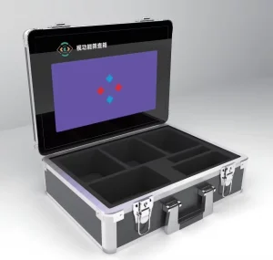 Visual Function Inspection Device