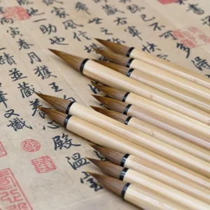 Watercolor Brush Pen Set for Painting and Illustration