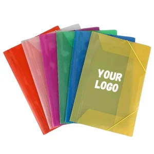Waterproof Portable Clear A4 Expanding Plastic File Folder