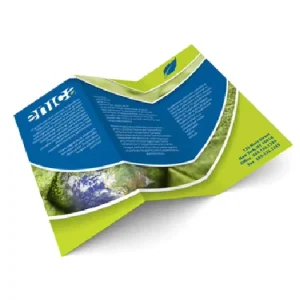 Z Stylish A4 200 Gsm Digital Printing Brochure Design Folded Leaflet With Hot Stamping Skating Bear Glossy Art Cardboard Paper